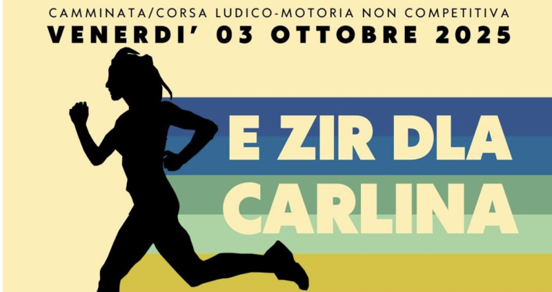 E ZIR DLA CARLINA